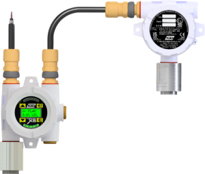 Dual Sensor Industrial Gas Detector Model X5